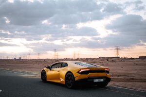 arcagallerdate oil paintings from arcyart