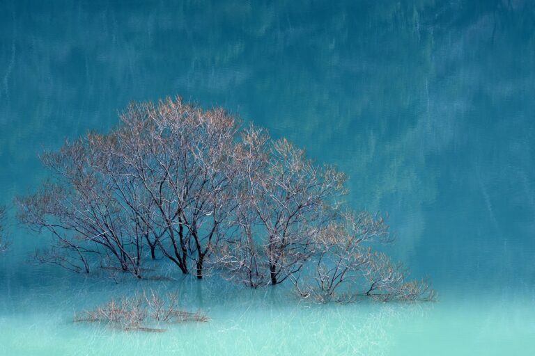 was anybody born on december 6 2006