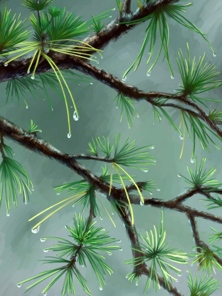 will an apartment complex deny you if you are just $300 short of the 3x the rent requirement