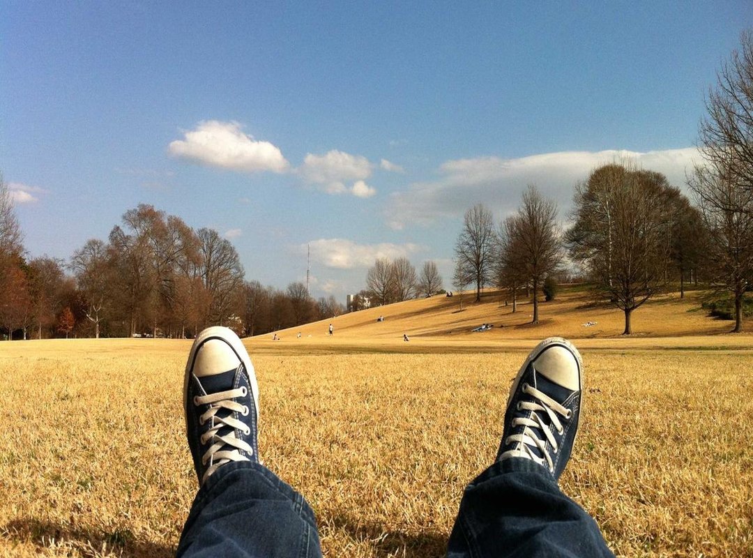 Comparing Your Options: Banks vs. Online Money Transfer Services