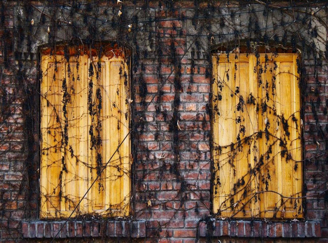 The Connection: How Their Paths Crossed