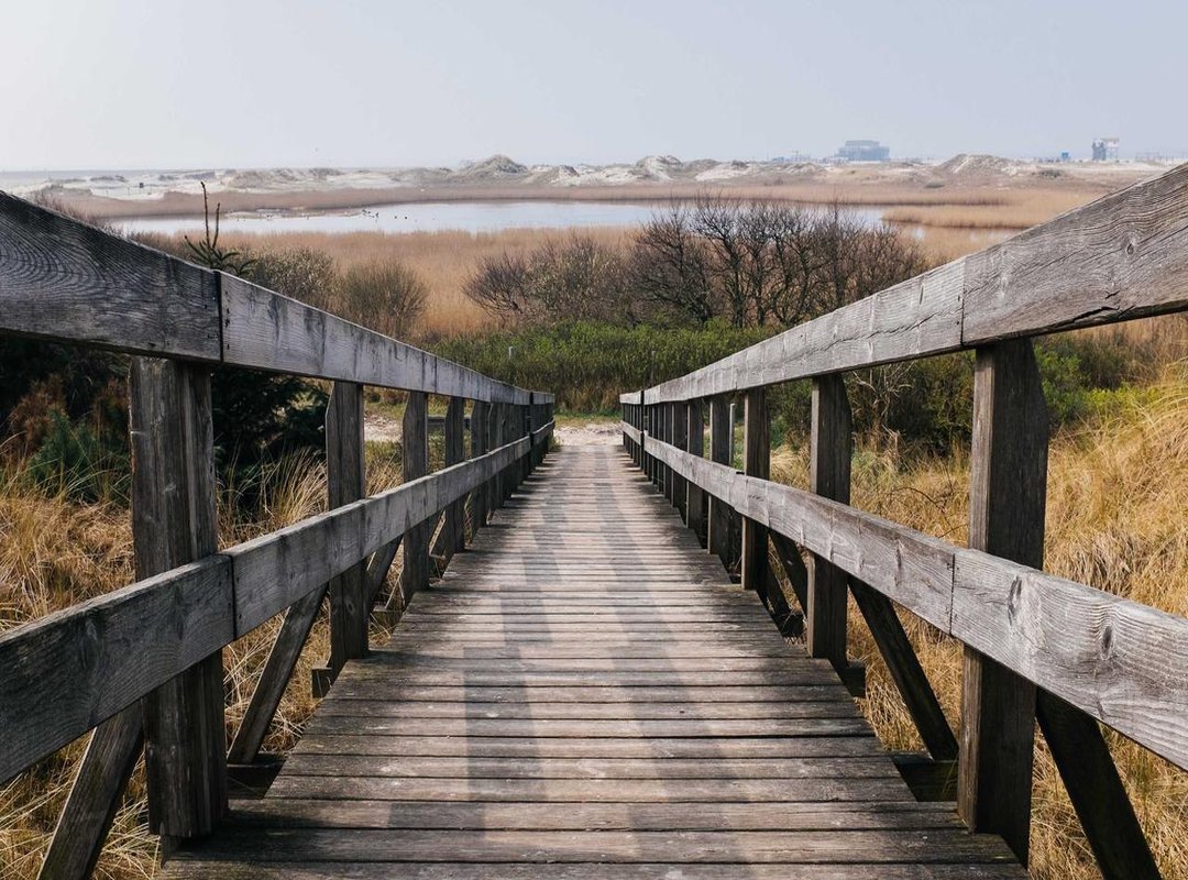 Bold & Graphic: Exploring Larger Korean Tattoo Art