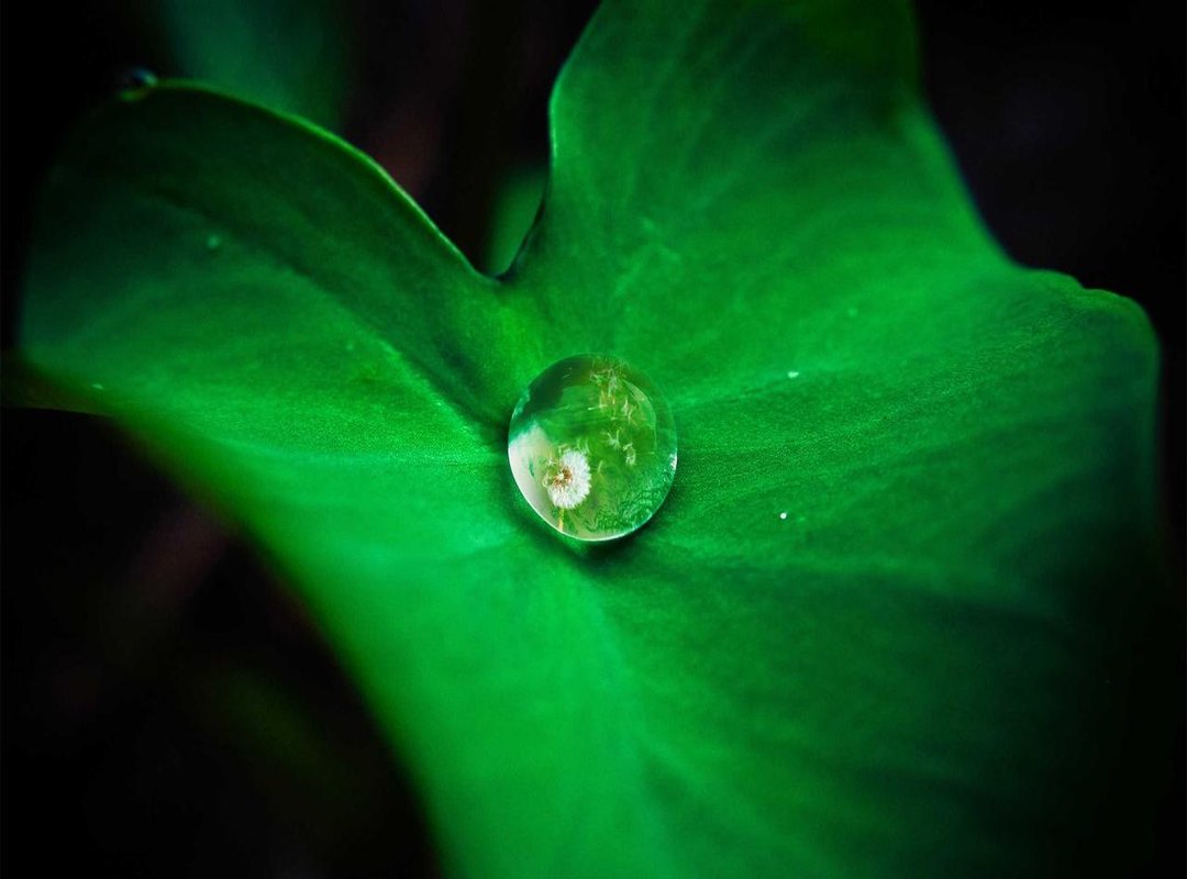 Finding Your Perfect Fit: The ErosCurve Sizing and Style Guide