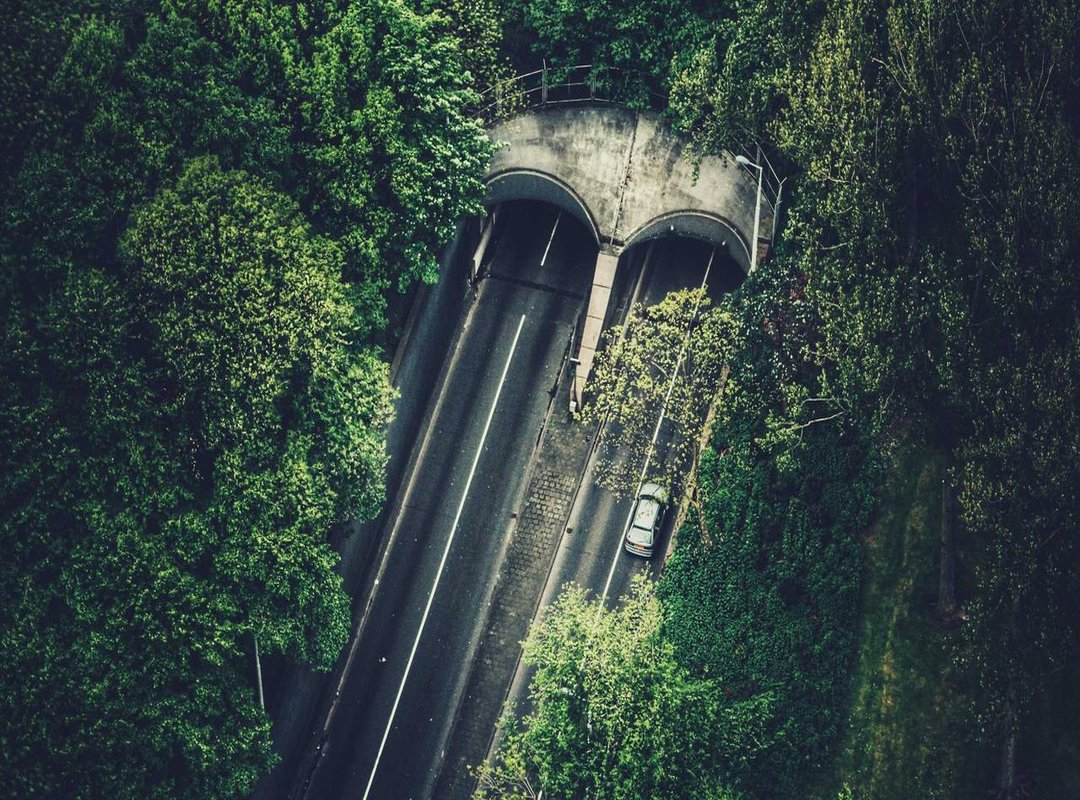 What to Say Back: The Best Ways to Reply to 'GN'