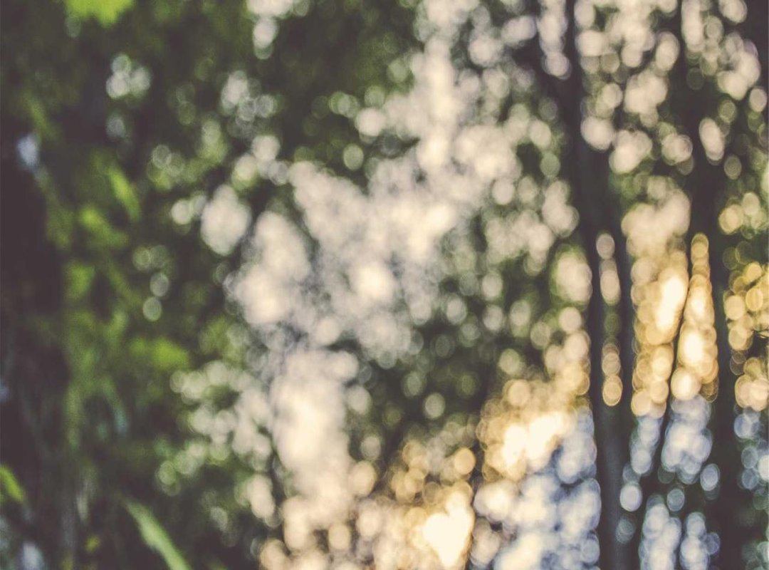 Practical Use Cases: Who Benefits Most from Henrai20?