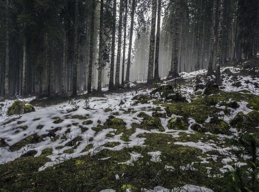 A GIF for Every Occasion: Matching the Animation to the Moment