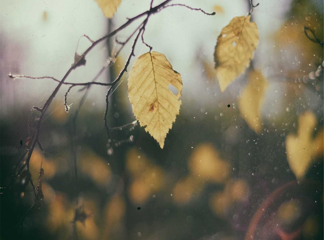 Navigating Fame: Addressing Public Curiosity and Scrutiny