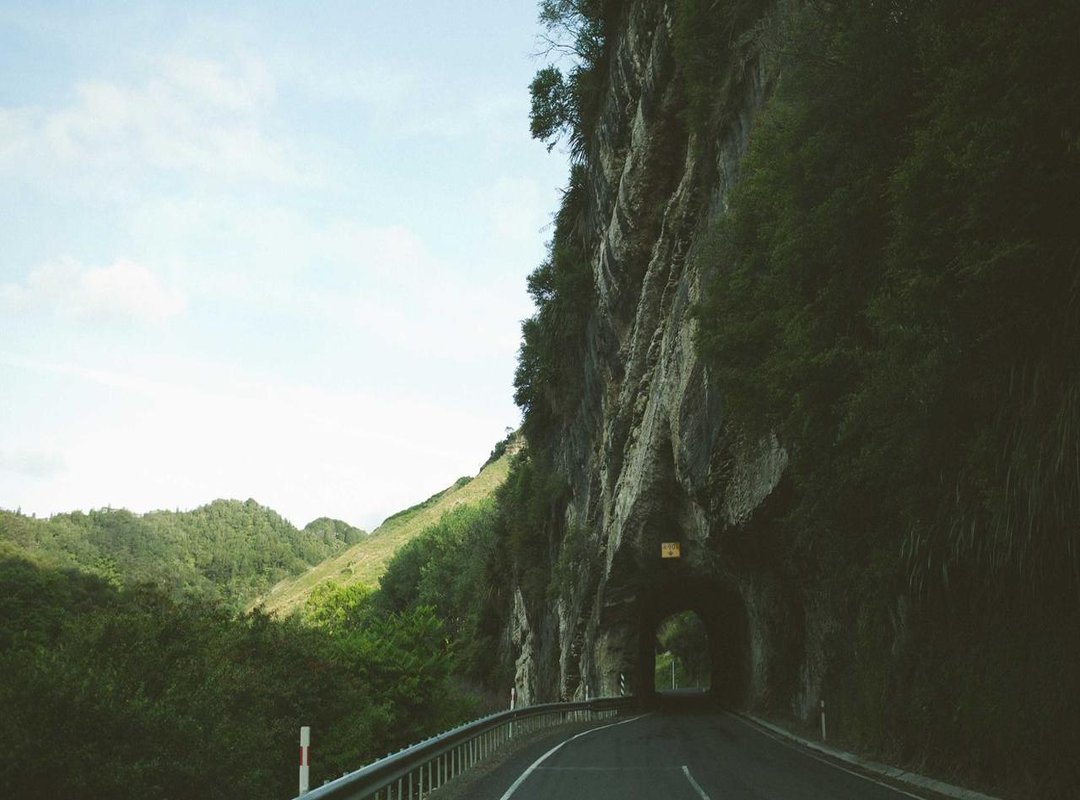 From Idea to Ink: Planning Your Perfect Forearm Piece