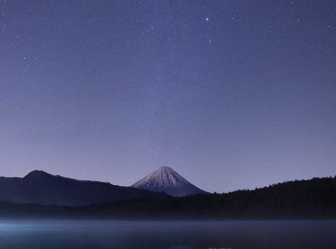 Supraid Ointment vs. The Competition: A Head-to-Head Look