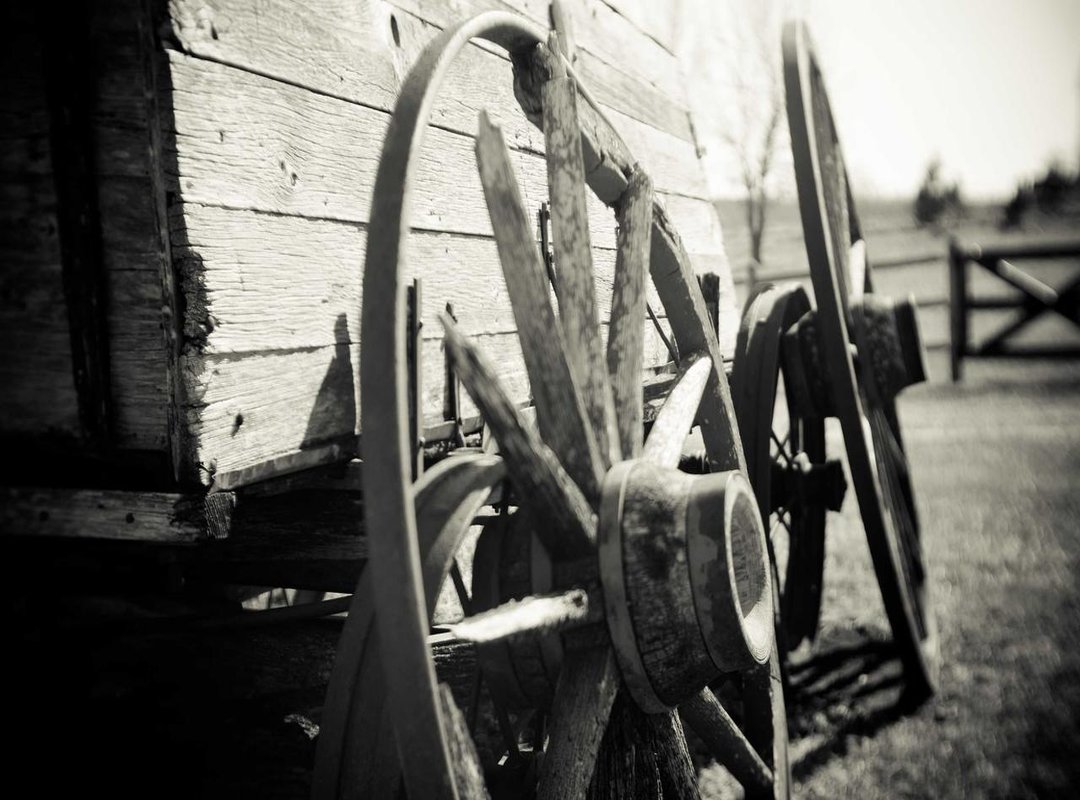 How to Use the Logo Correctly: Quick Guidelines